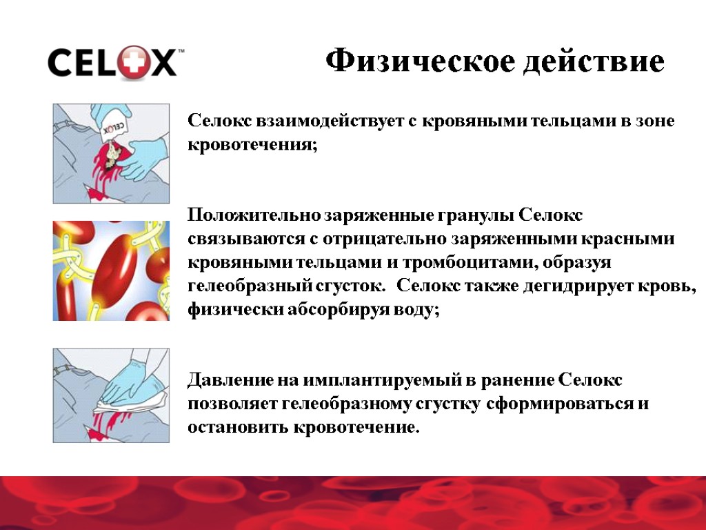 Селокс взаимодействует с кровяными тельцами в зоне кровотечения; Положительно заряженные гранулы Селокс связываются с